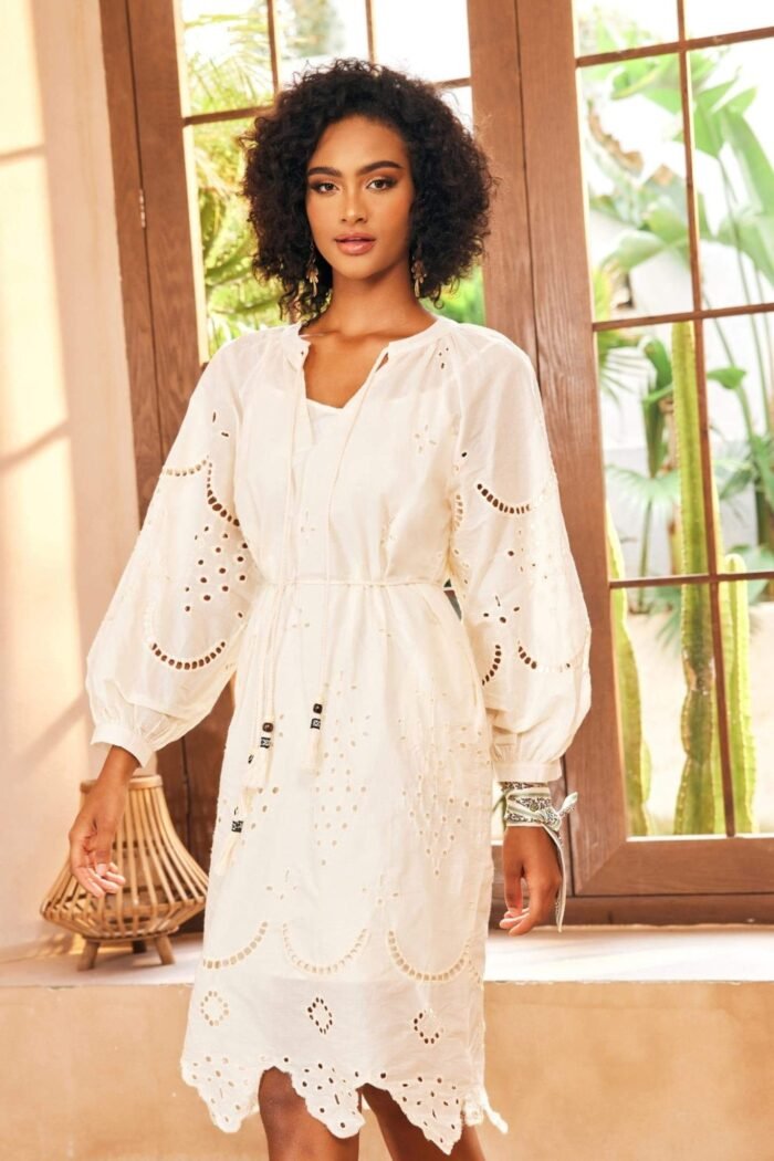 Ariella Embroidered Hollow Midi Dress - Image 1