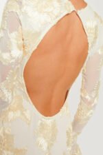 Aurora Embroidered Backless Mesh Mini Dress - Image 10
