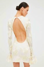 Aurora Embroidered Backless Mesh Mini Dress - Image 6