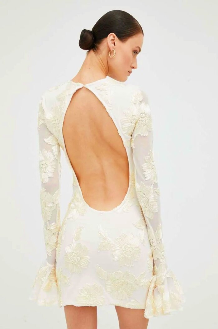 Aurora Embroidered Backless Mesh Mini Dress - Image 6