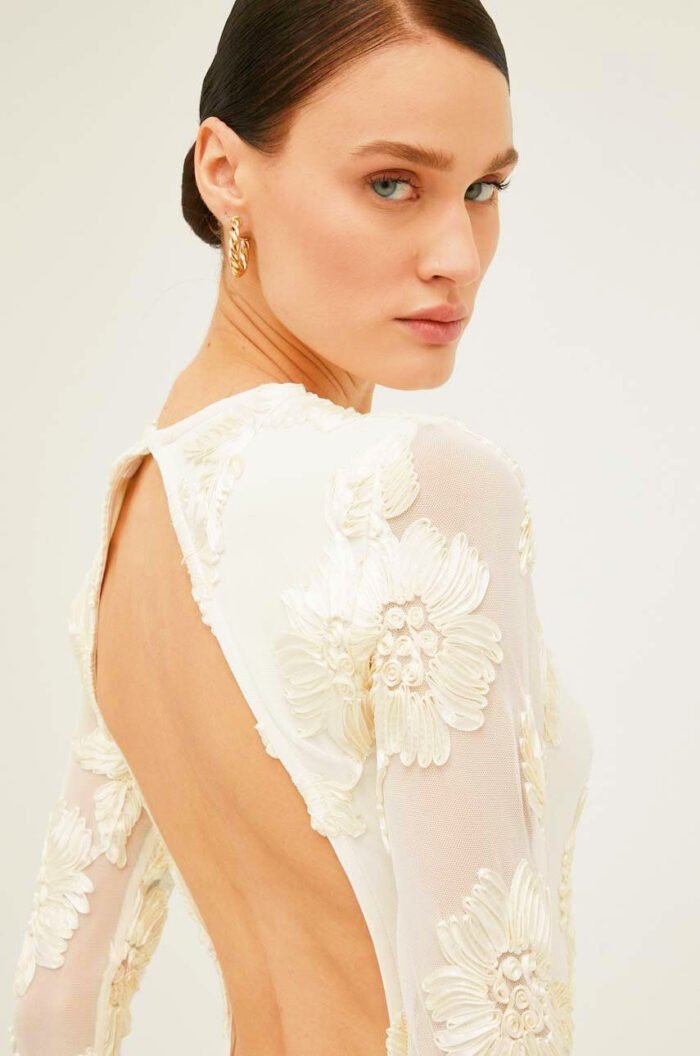 Aurora Embroidered Backless Mesh Mini Dress - Image 8