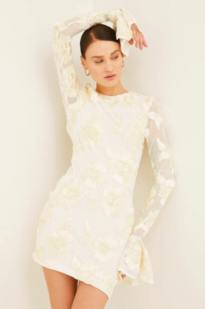 Aurora Embroidered Backless Mesh Mini Dress - Image 7