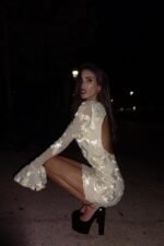 Aurora Embroidered Backless Mesh Mini Dress - Image 2