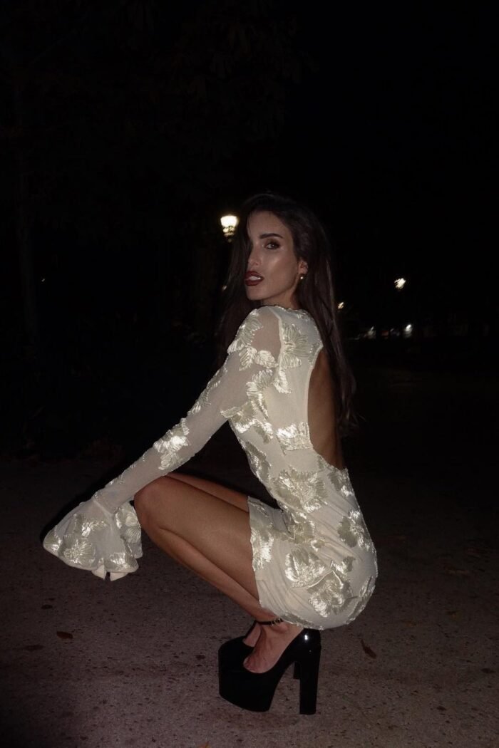 Aurora Embroidered Backless Mesh Mini Dress - Image 2