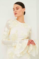 Aurora Embroidered Backless Mesh Mini Dress - Image 9