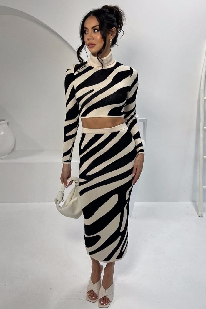 Lena Zebra Print Knit Set - Image 1